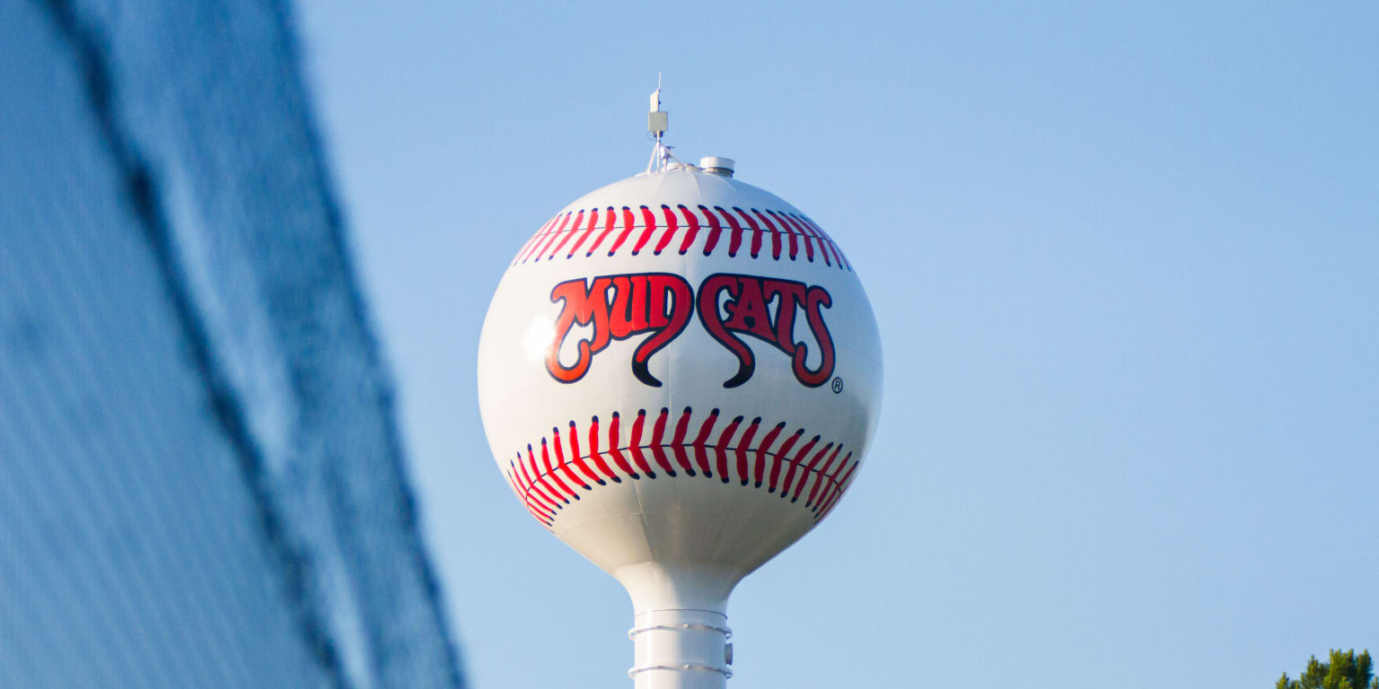 Mudcats bobbletower