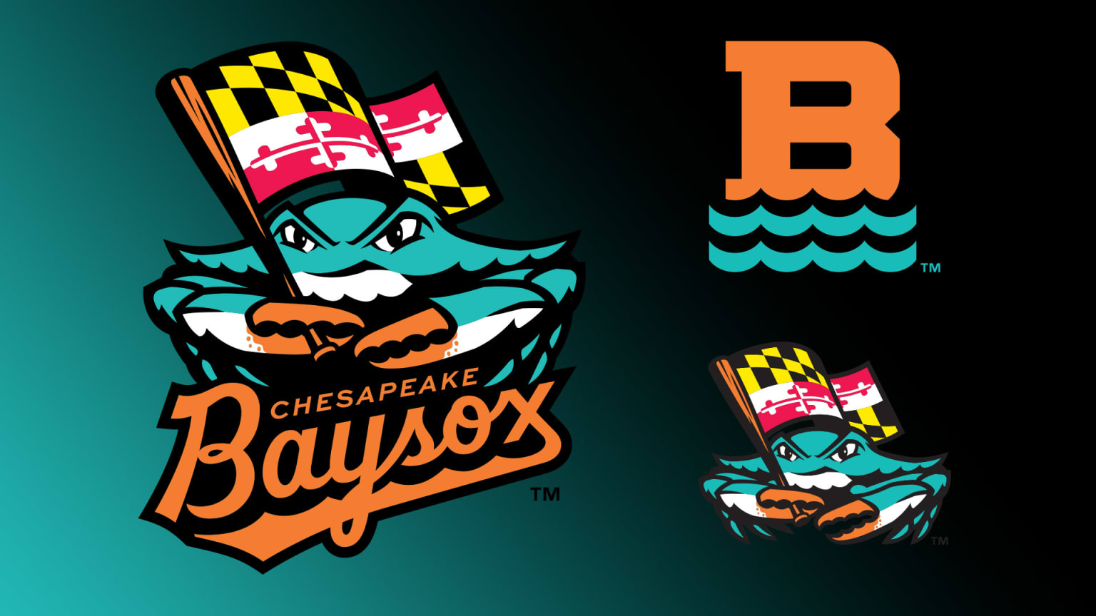 Chesapeake Baysox