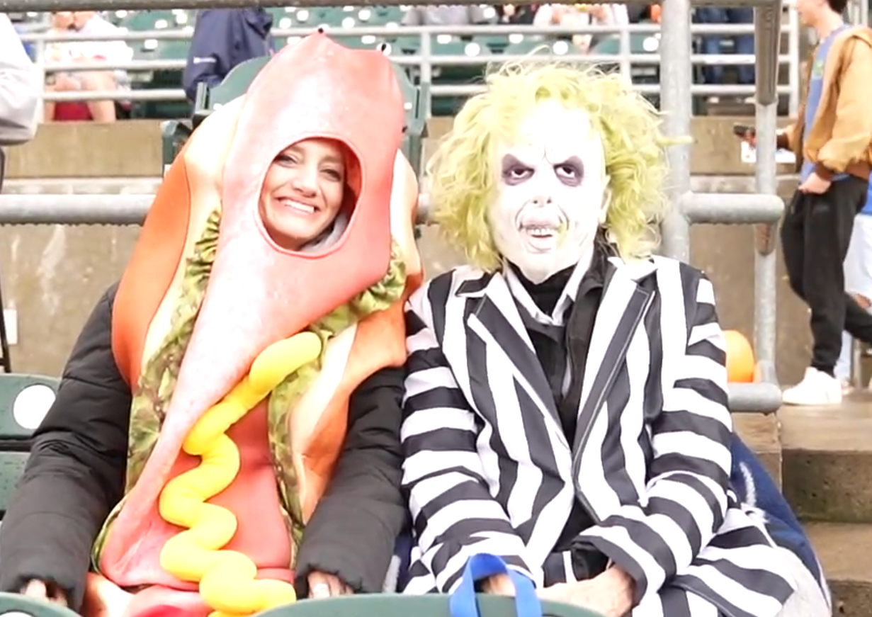Fans in costumes