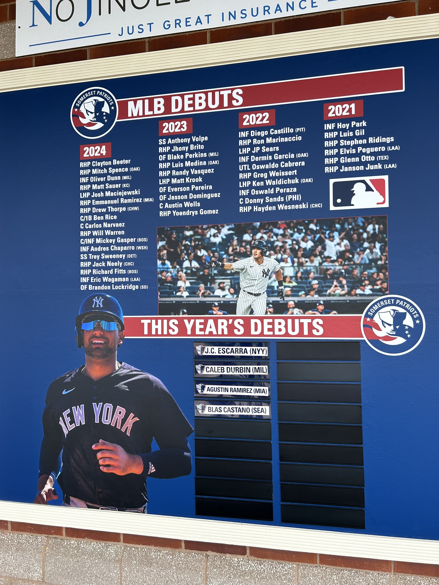 Patriots in the big leagues