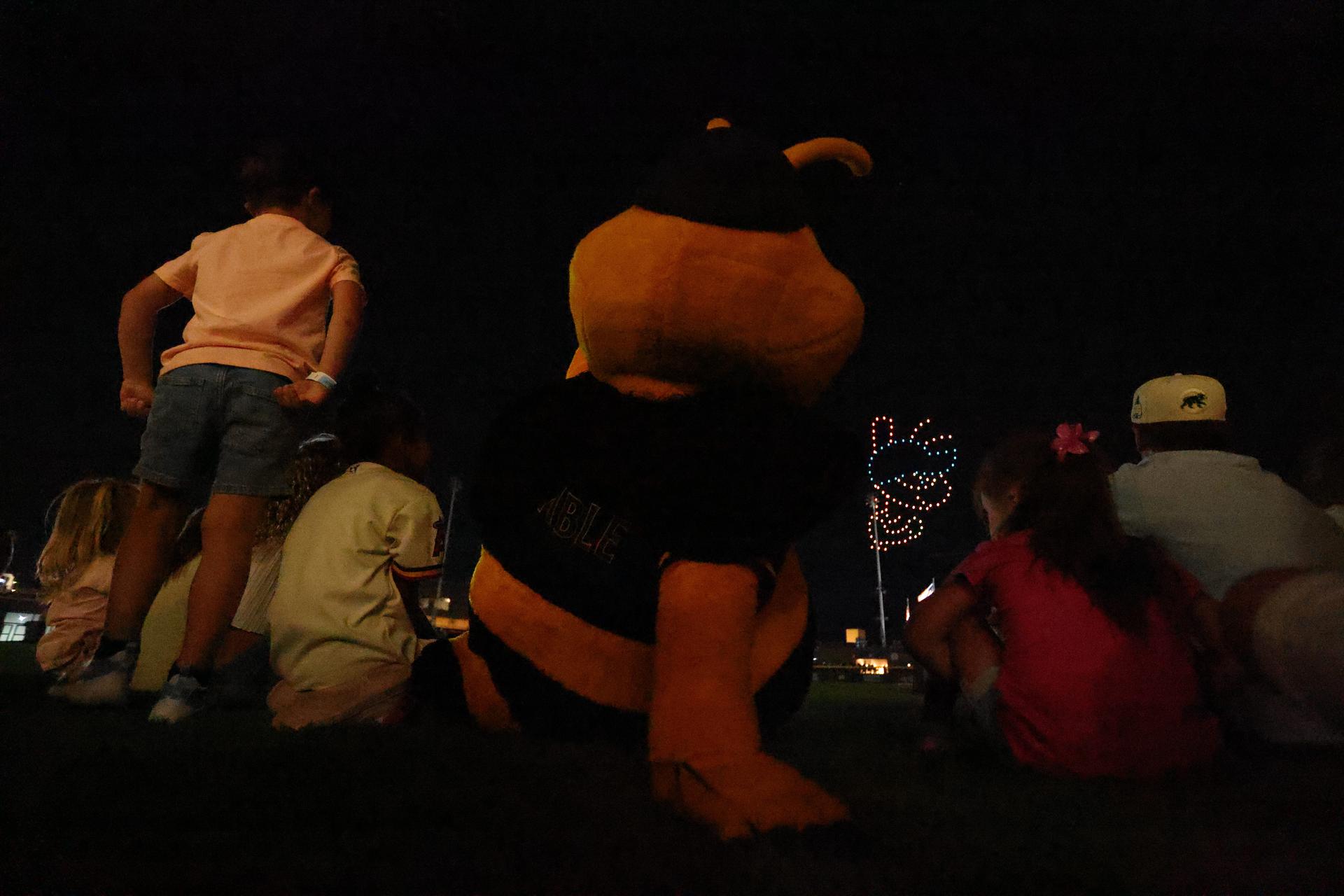 Bees drone show