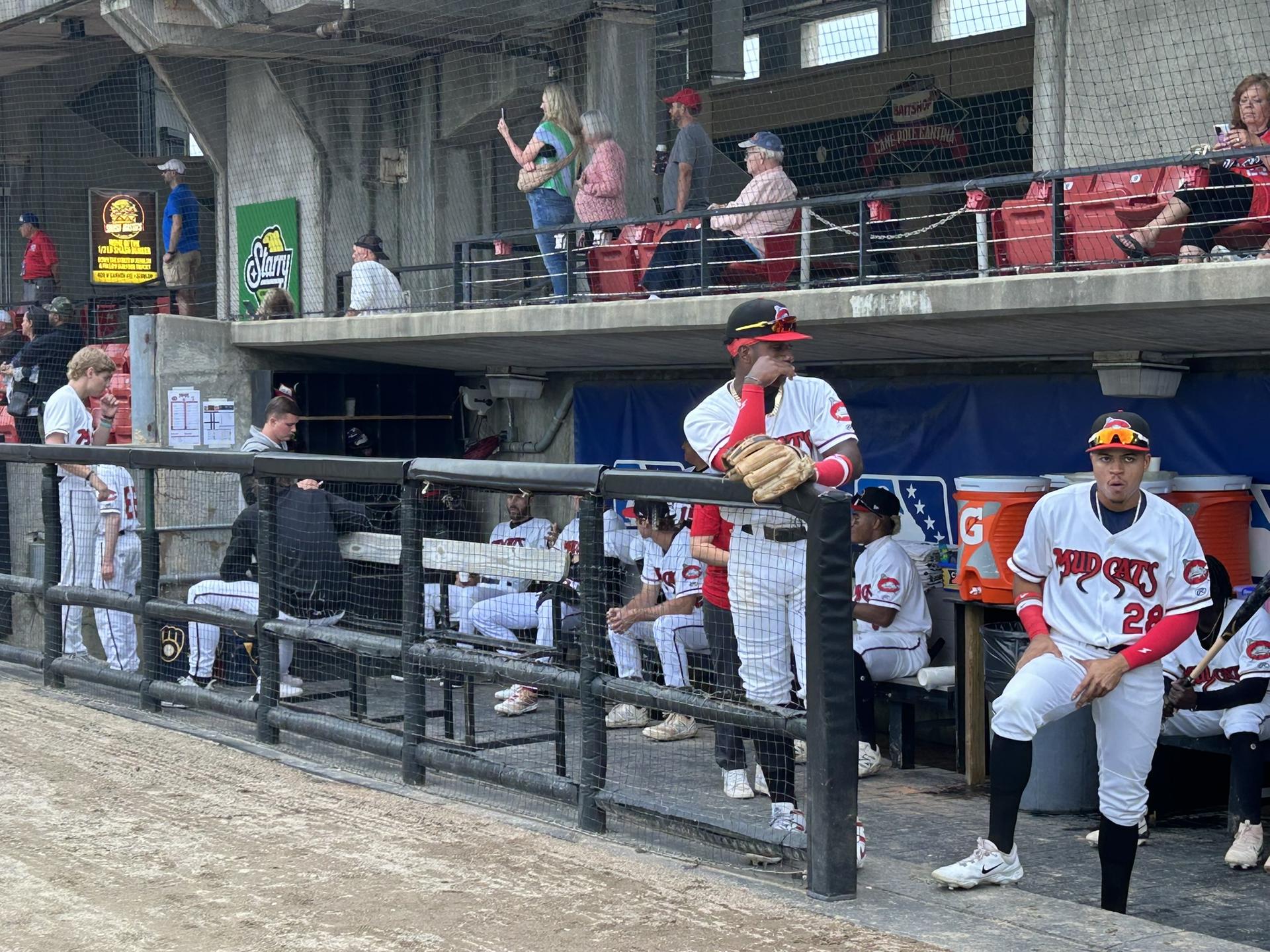 Home dugout