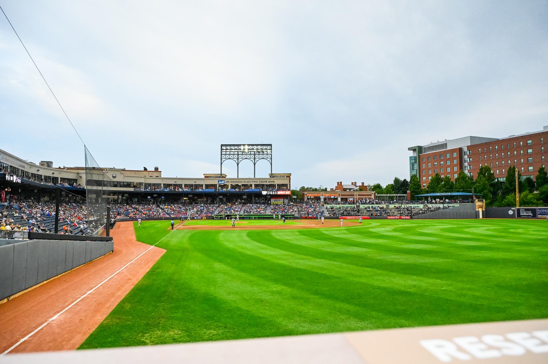 The field from right