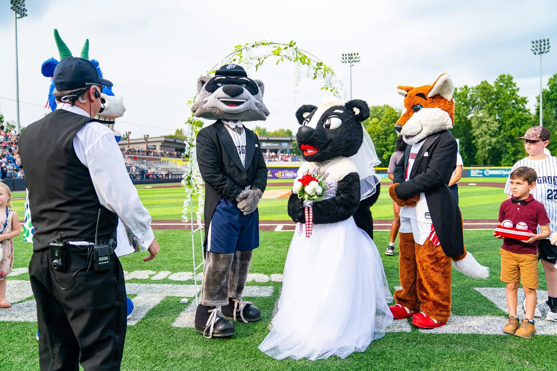 Hudson Valley mascot wedding