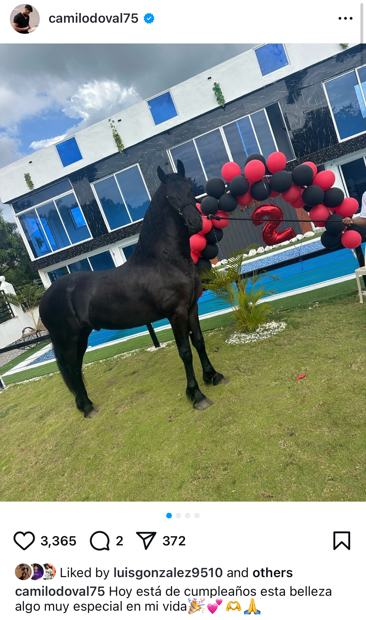 Camilo Doval's horse