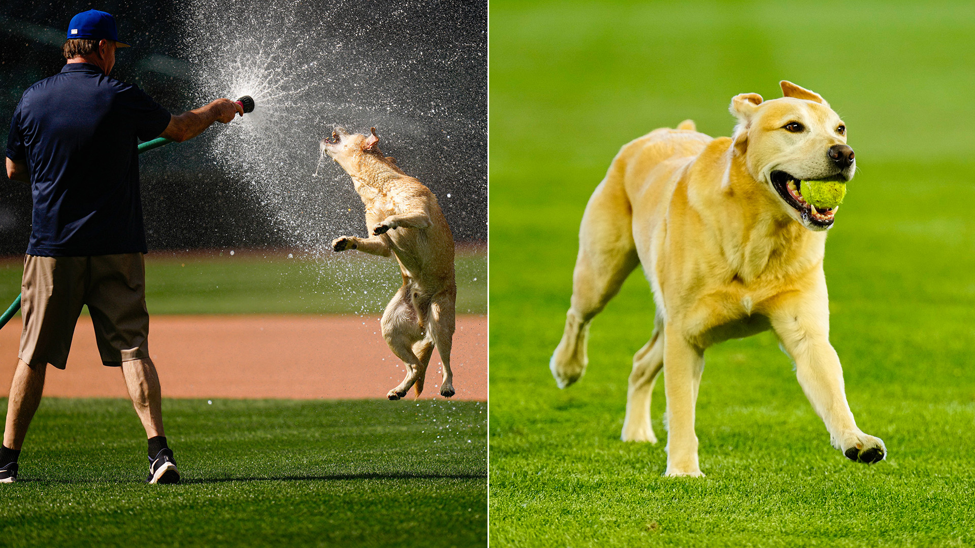 Josh Naylor and Tucker