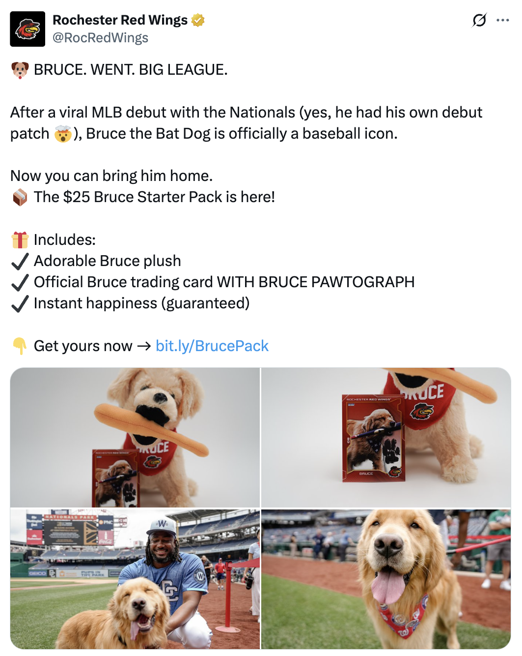 Rochester Red Wings Bruce tweet