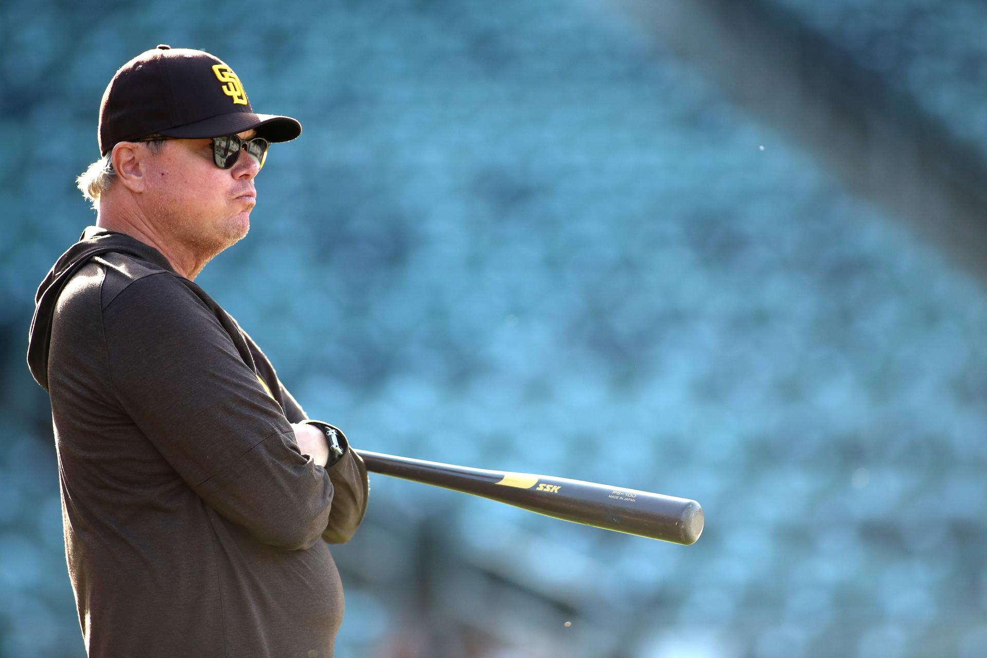 Mike Shildt