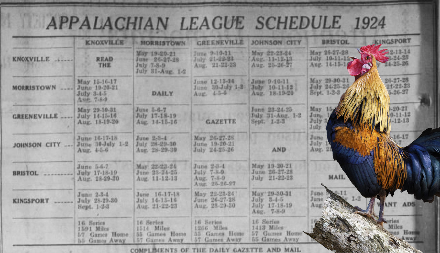 A rooster superimposed over the 1924 Appy League schedule