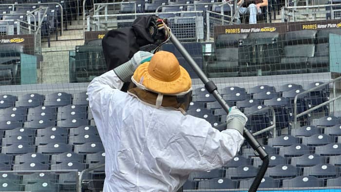Bees swarmed Petco Park