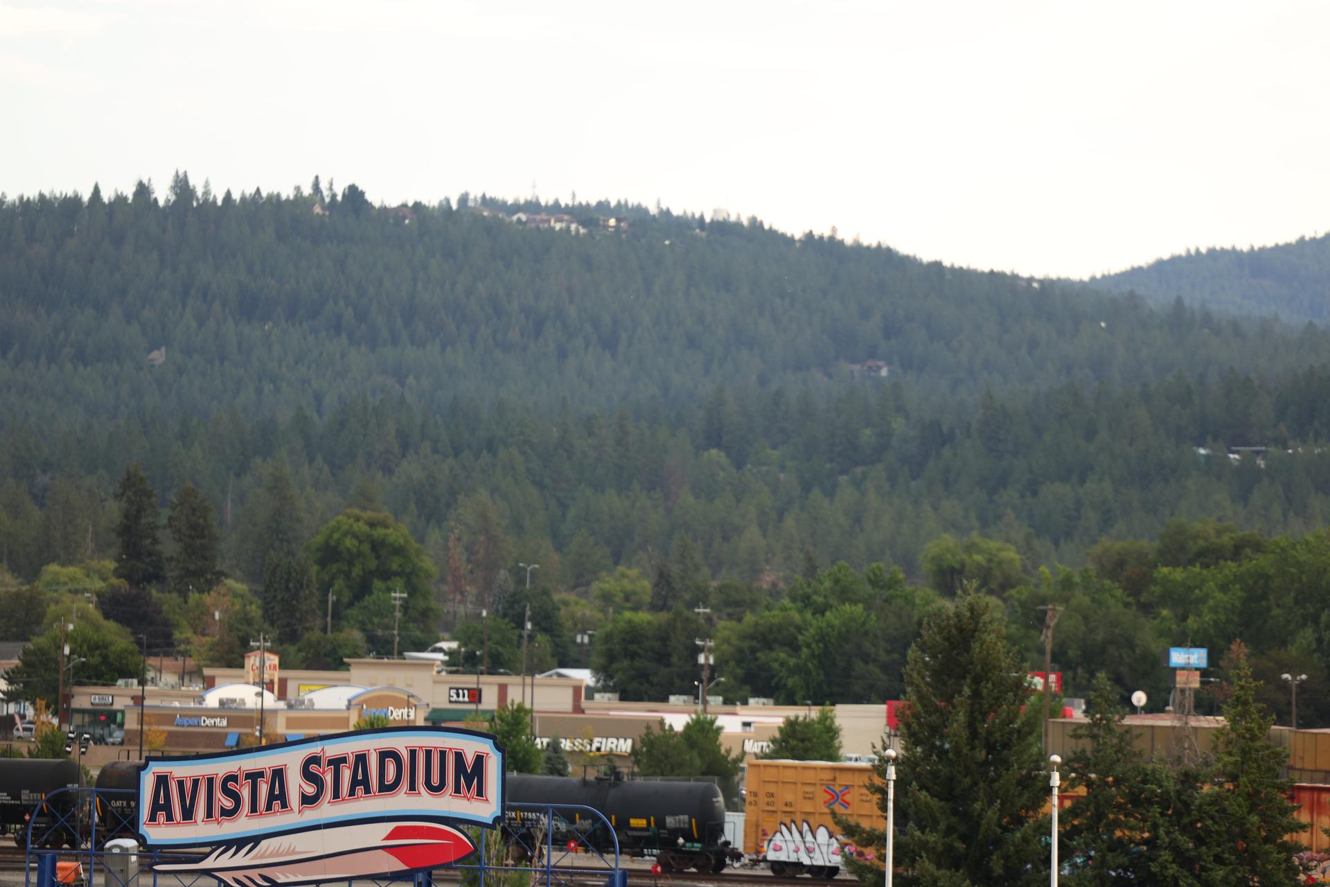 Forest outside Avista