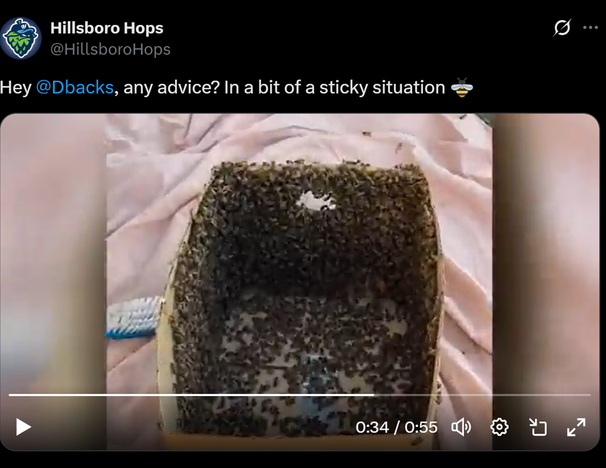 Hillsboro Hops X post bees invasion
