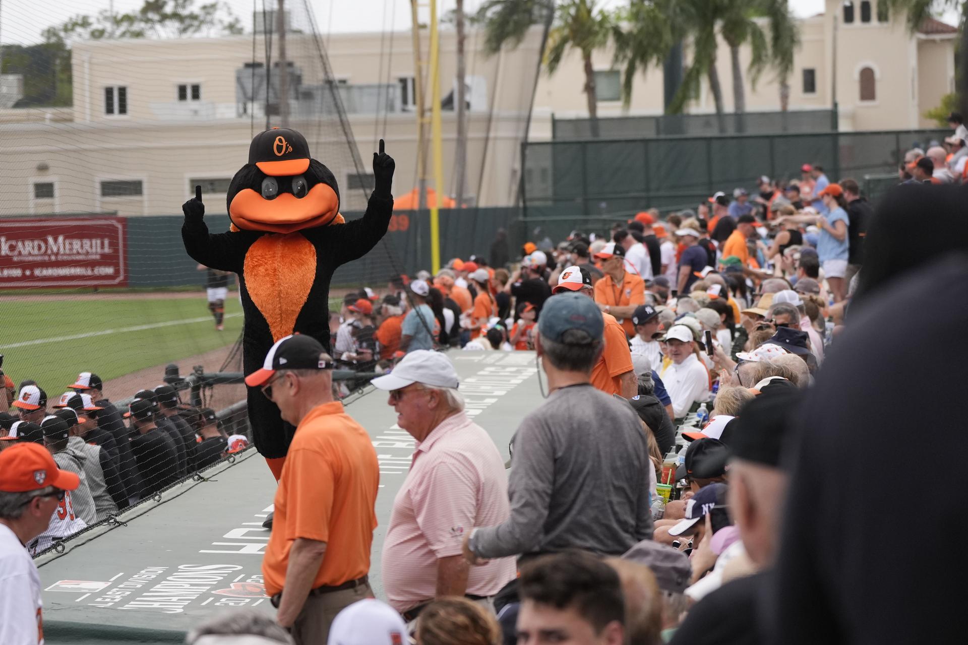 Oriole Bird atop dugout at Ed Smith Stadium