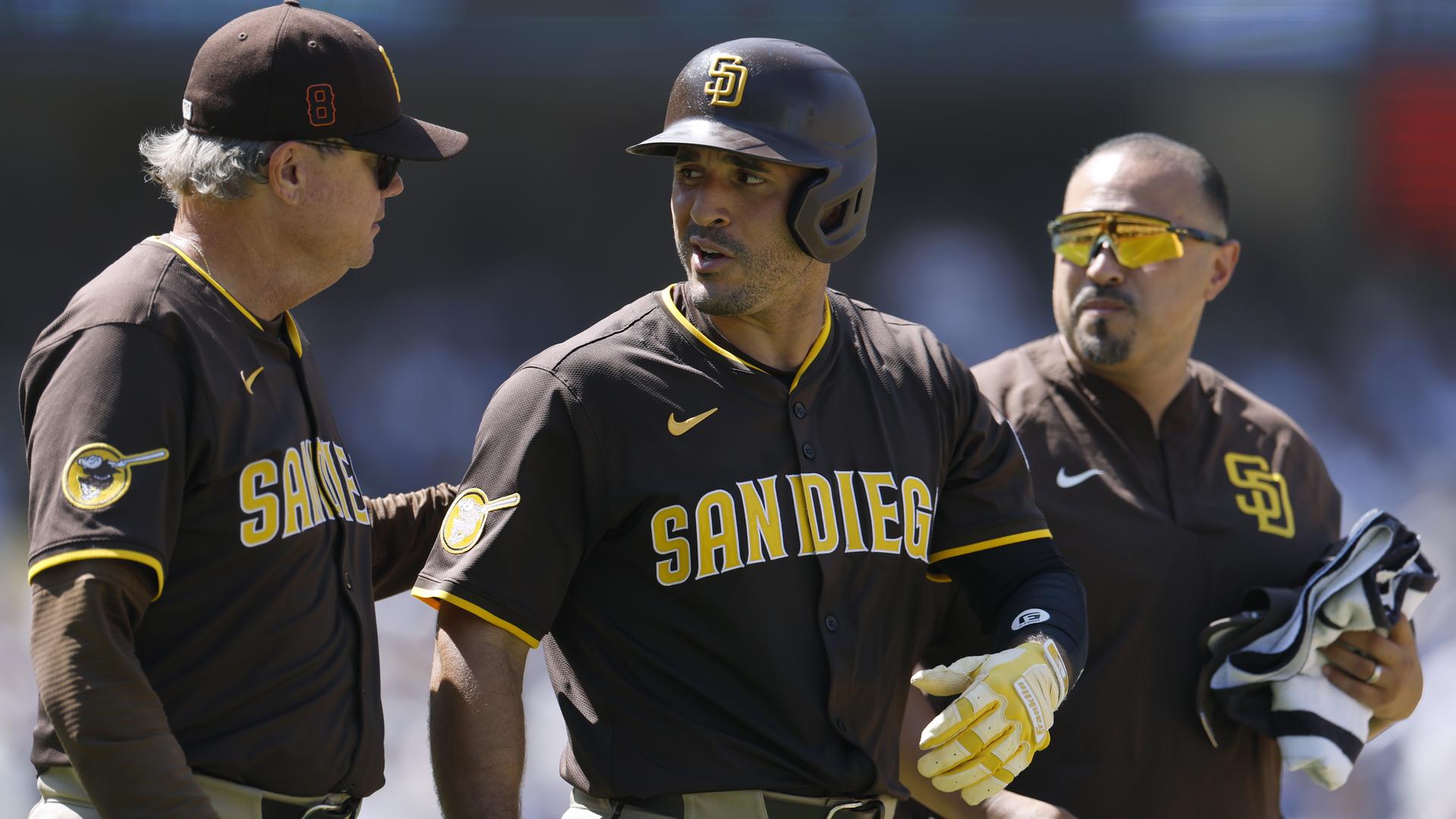 Mike Shildt, Ramón Laureano and Ricky Huerta