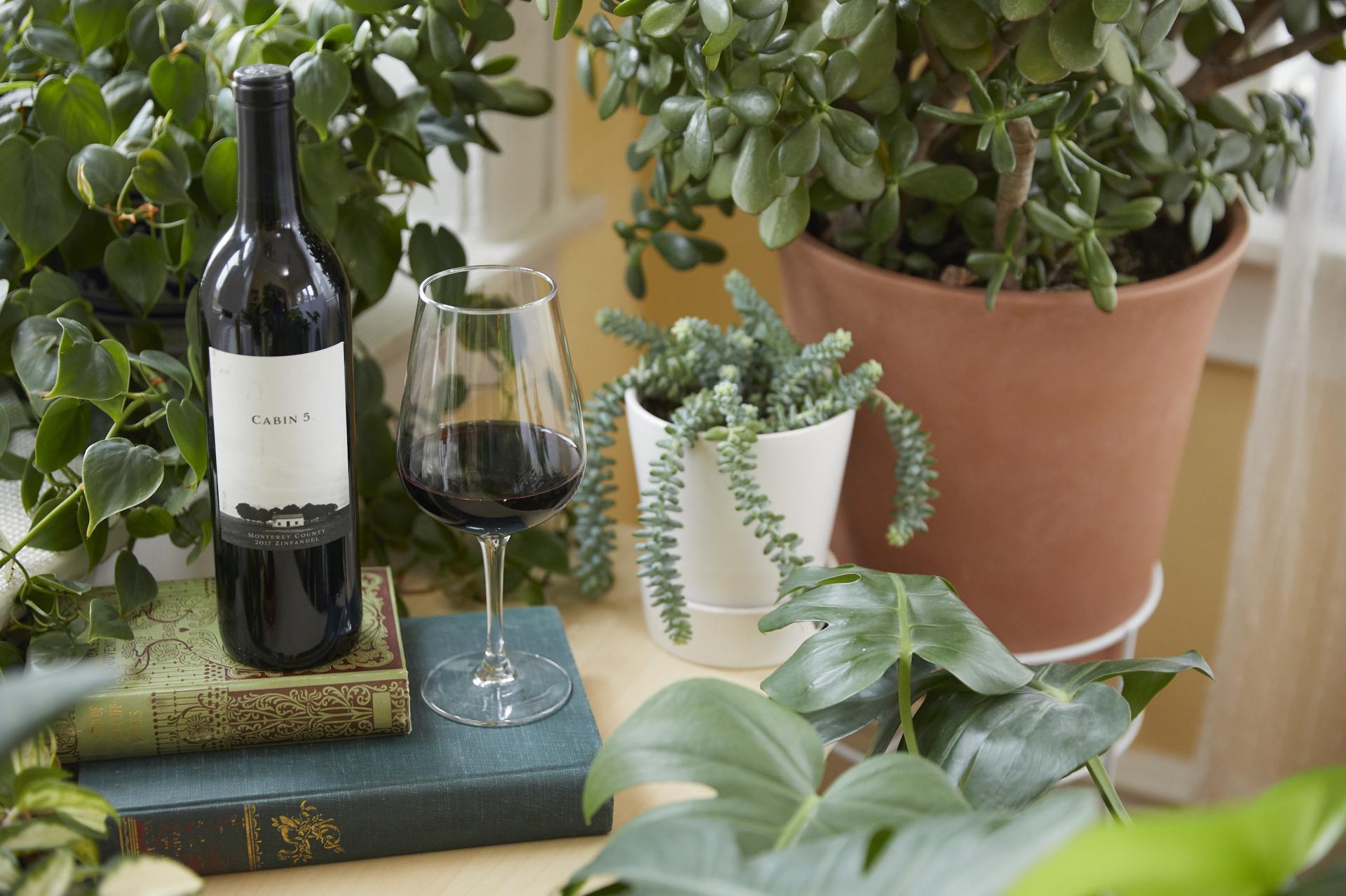 Wine + Plant Pairings