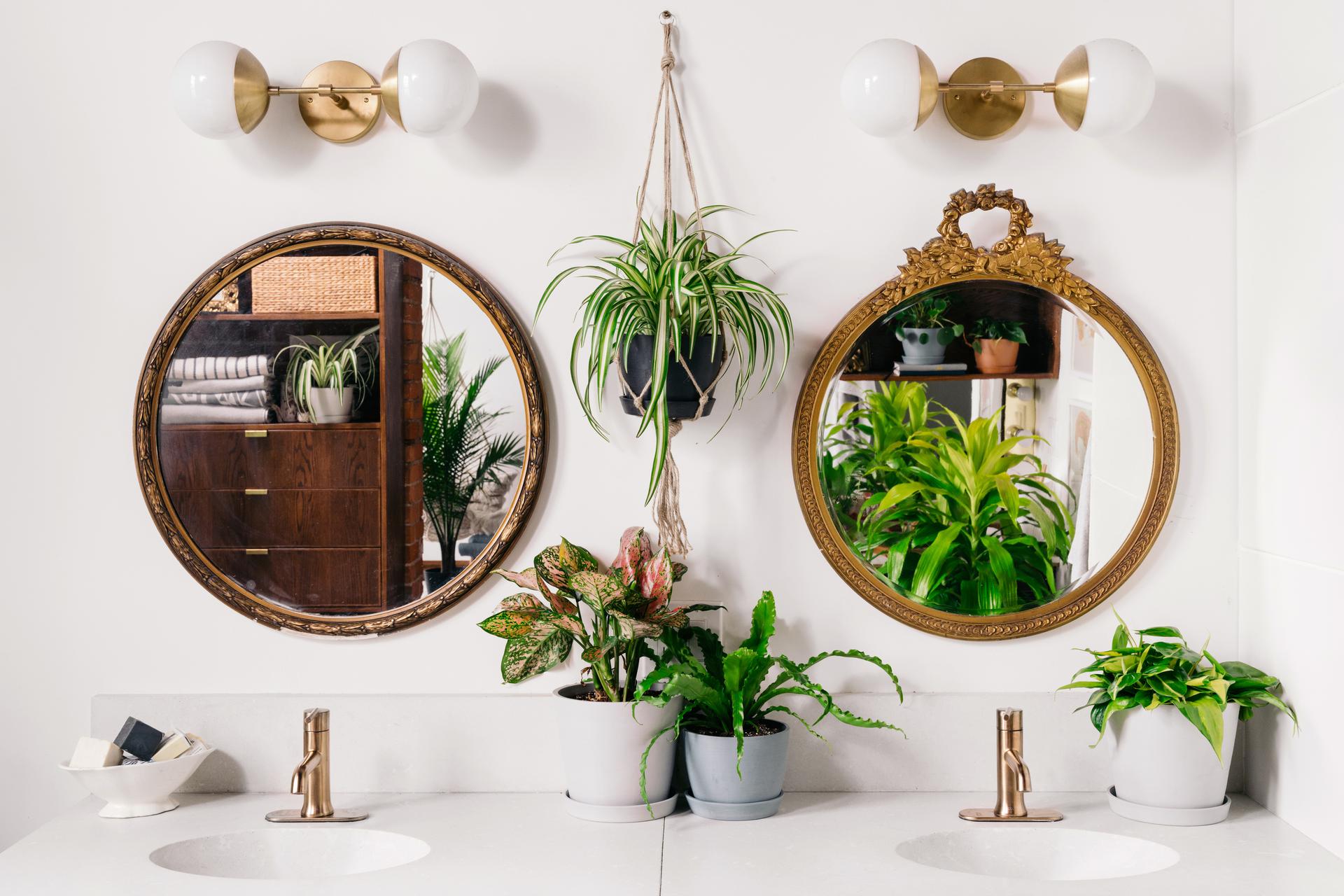 A bathroom with two sinks and two mirrors and multiple potted indoor plants.