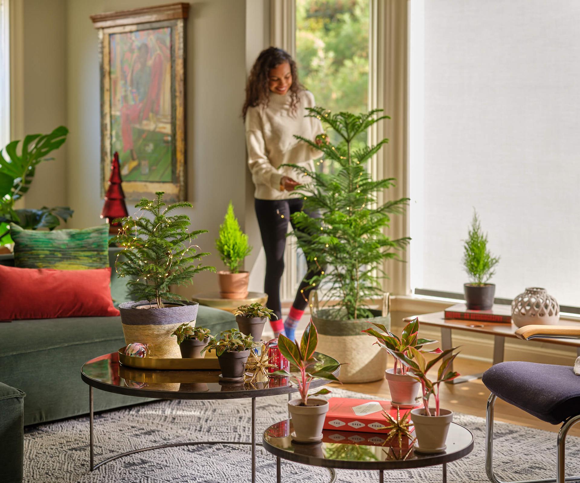 Holiday Decor Made Easy