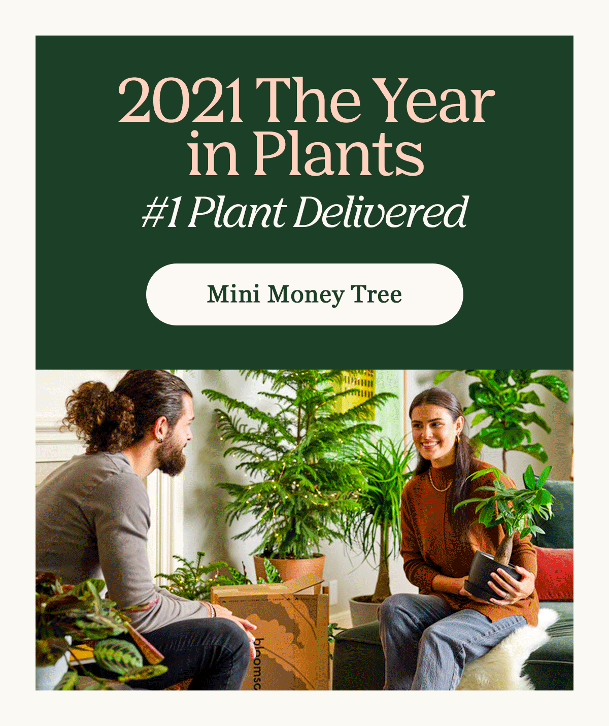 GIF of the mini money tree detail shot and gift exchange shots