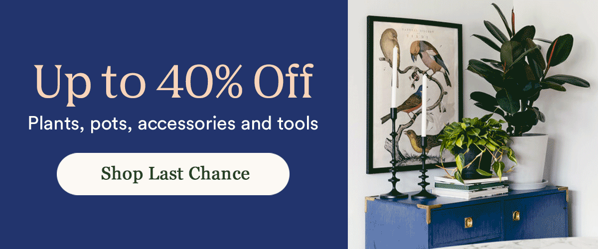 Up to 40% Off Last Chance