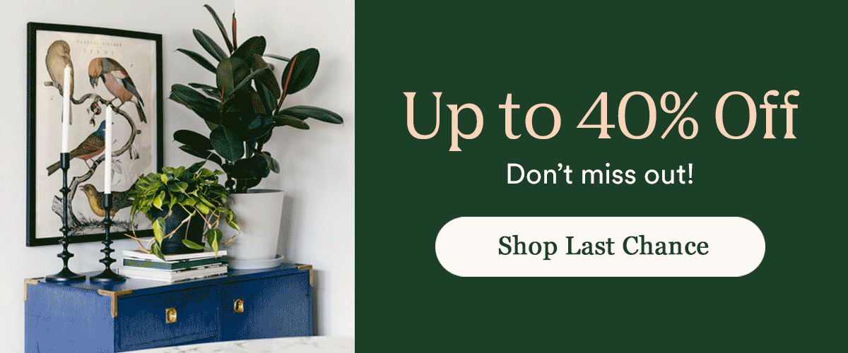 Up to 40% Off Last Chance