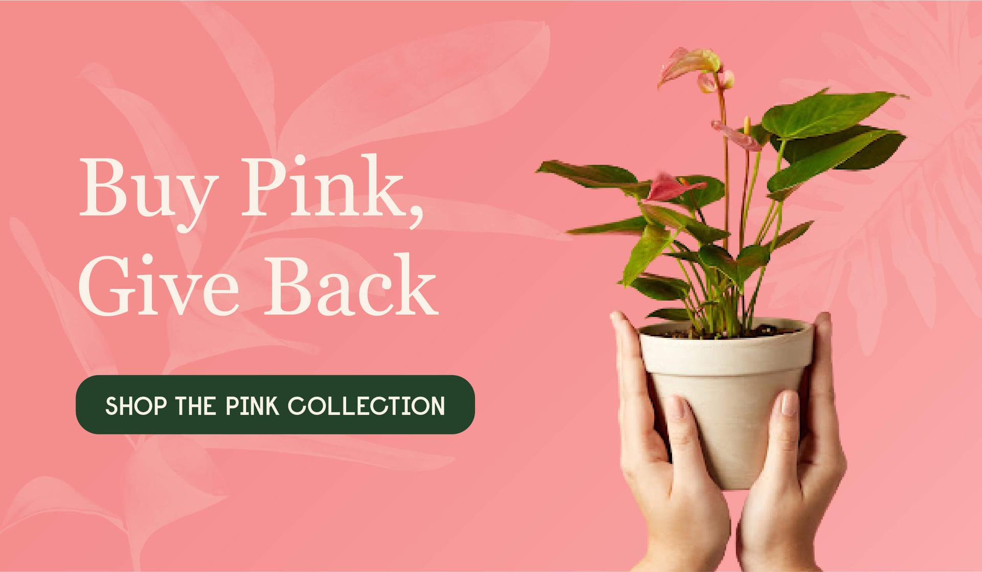 Buy Pink and Give Pink