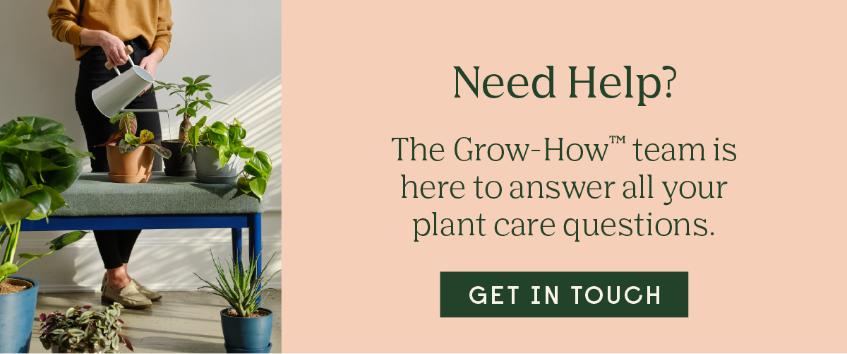 The Grow-How Team is here to answer all your questions.
