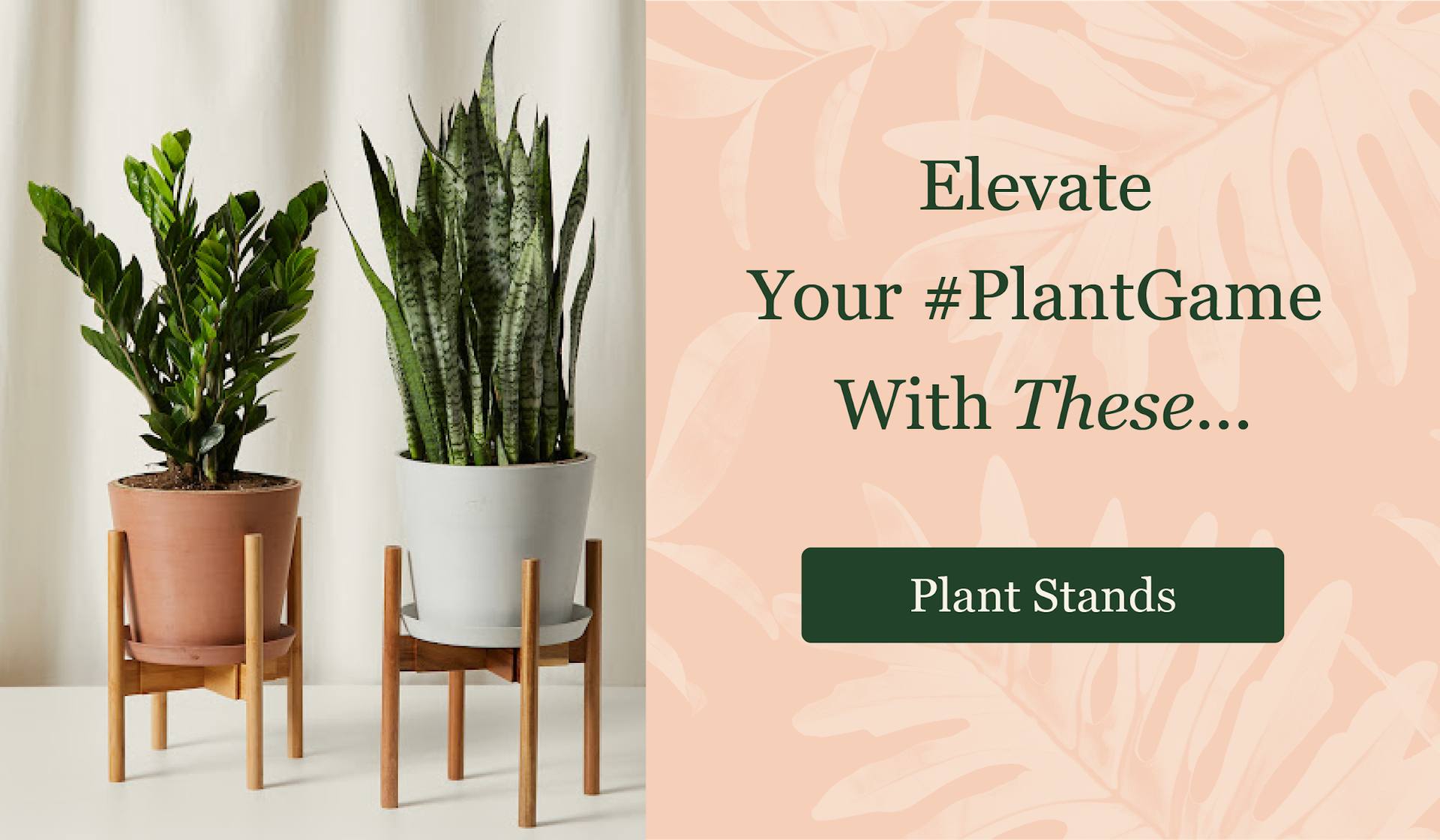 Elevate Your Plant Game with These Plant Stands
