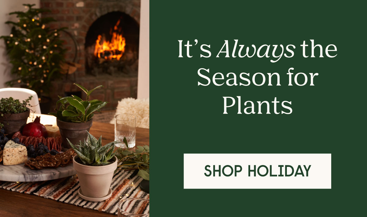 it's Always the Season for Plants - Shop Holiday