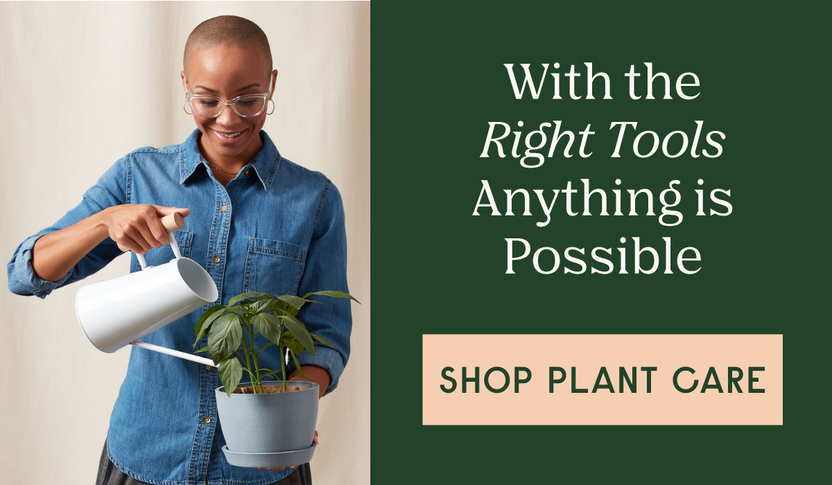 The Plant Care Shop