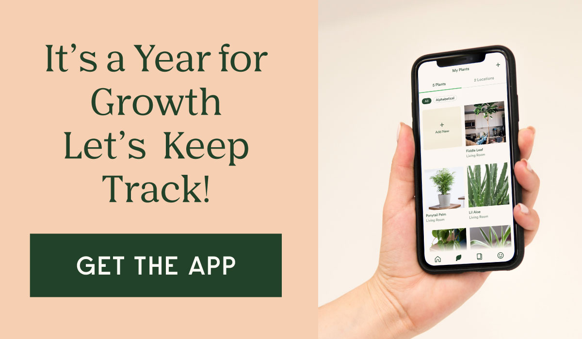 It's a Year for Growth - Let's Keep Track! Get the App