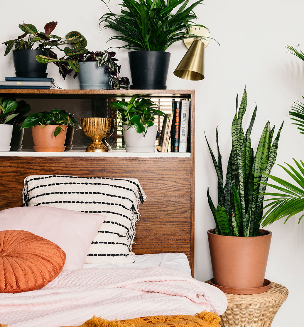 10 New Plans You Won't Want to Miss