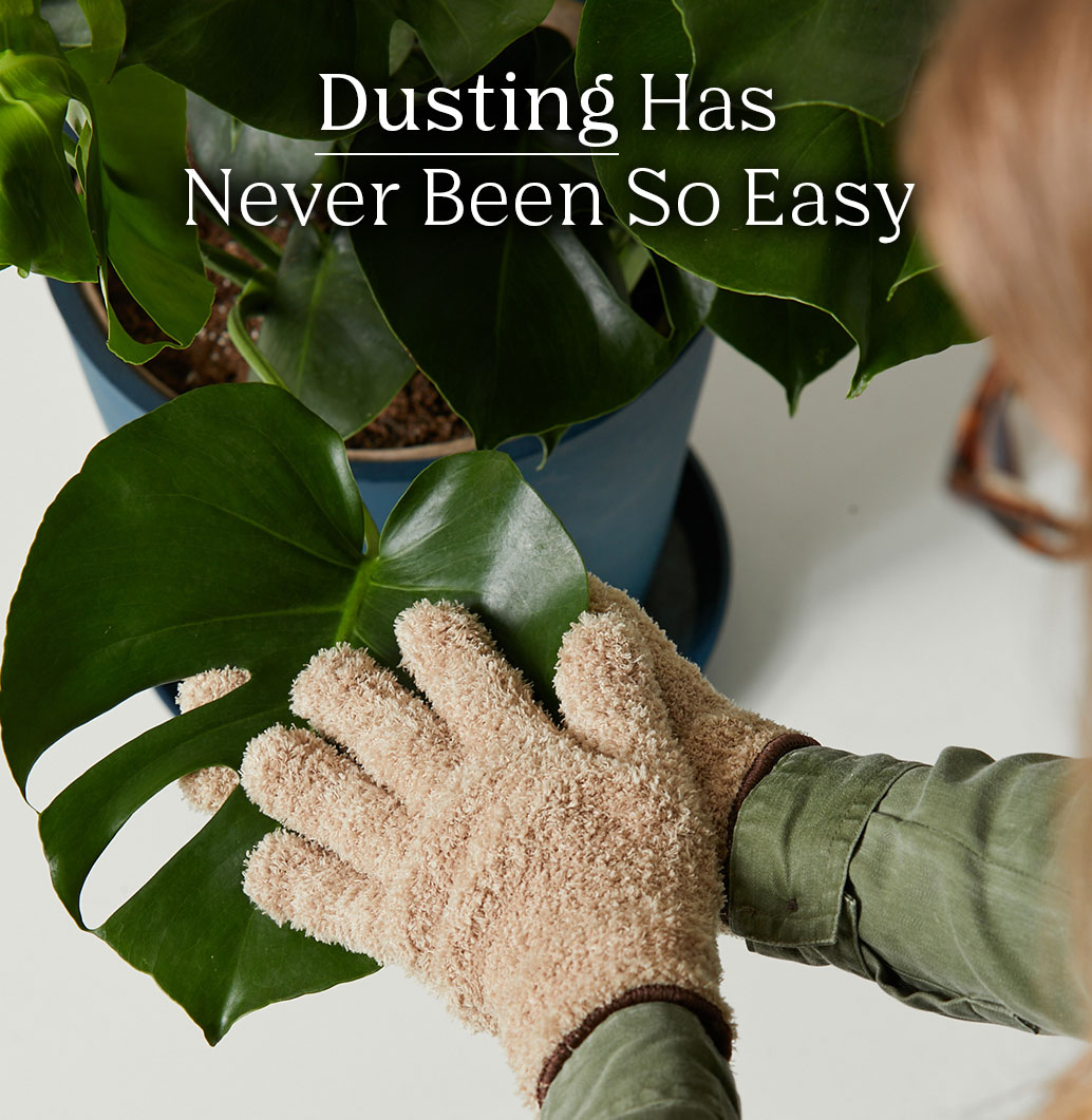 Dusting Has Never Been So Easy