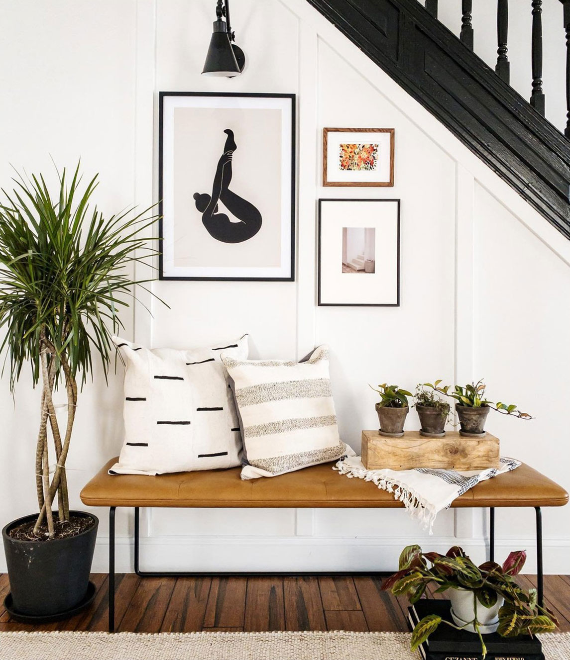 Get a Free Small Plant with an XL