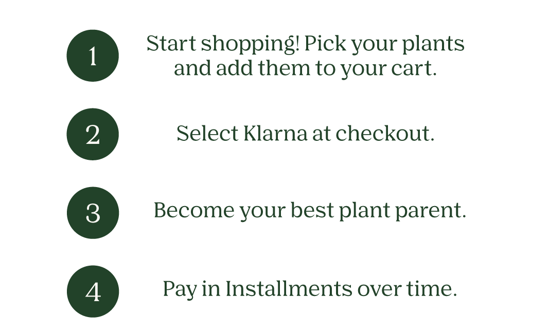 Steps for using Klarna