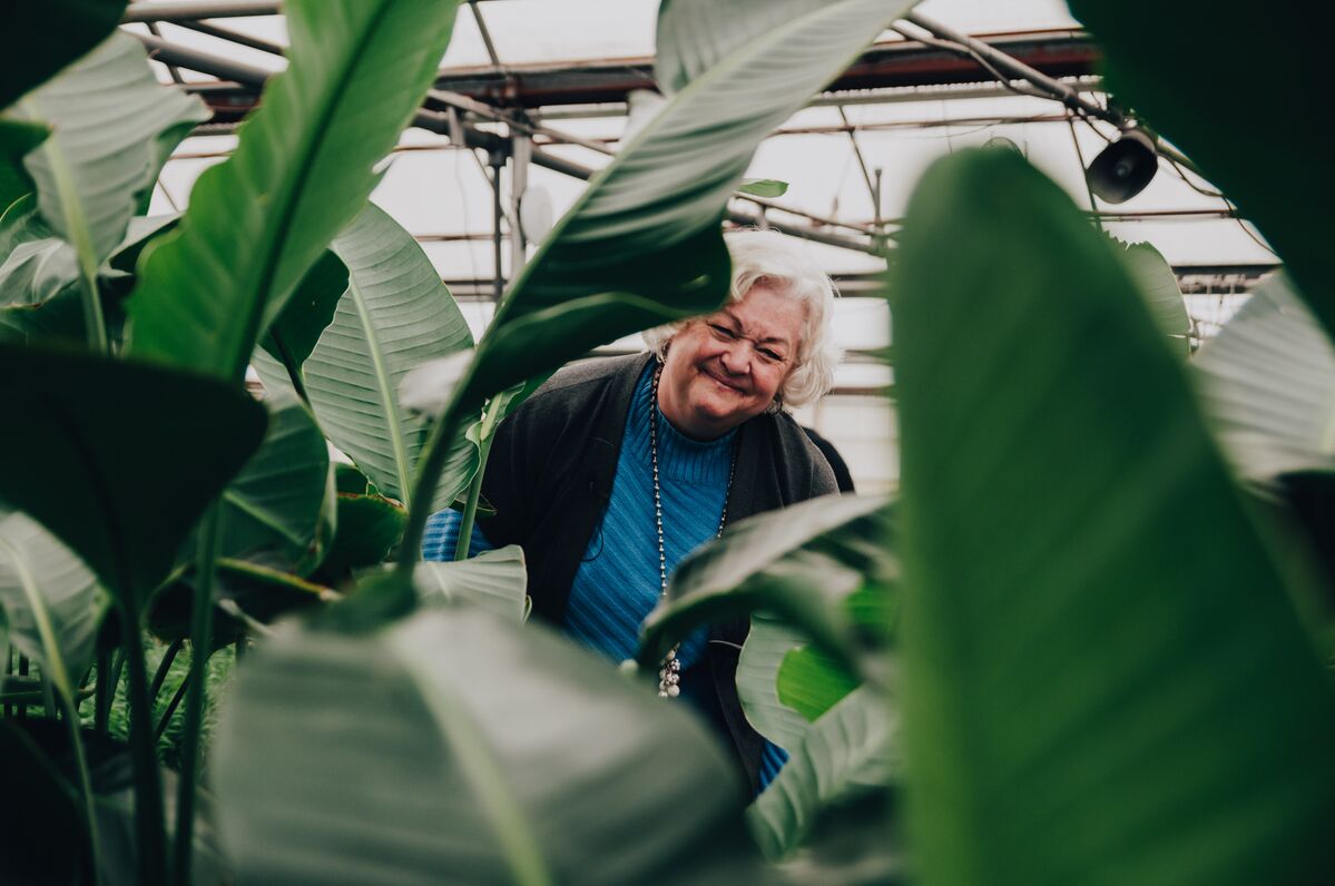 Plant Mom in her element, smiling behind some Bird of Paradise leaves