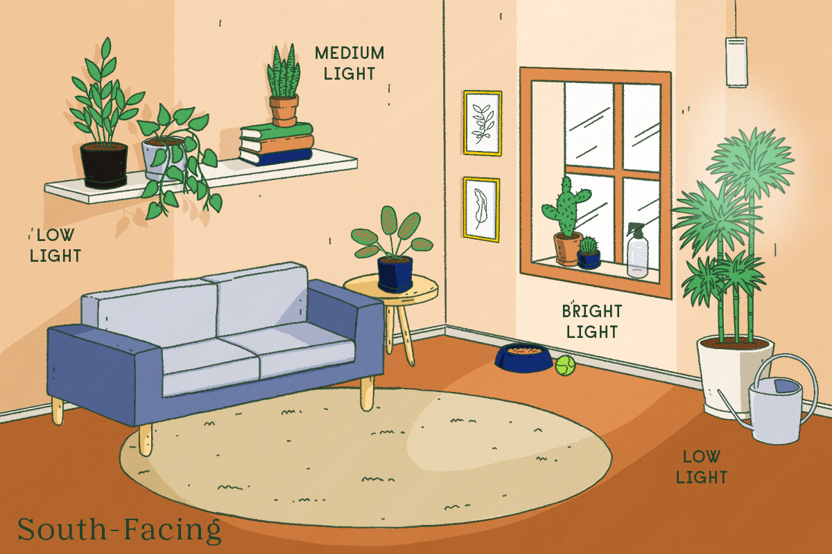 An illustration of a South-Facting window and the sunlight that it lets in