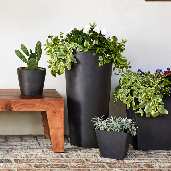 Variety of Ecopots Pots + Planters full of Bloom Kits