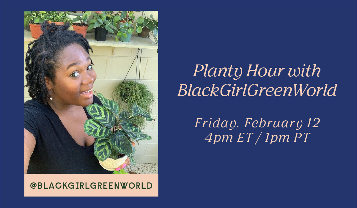 Planty Hour with @BlackGirlGreenWorld Friday, February 12 4pm ET / 1pm PT