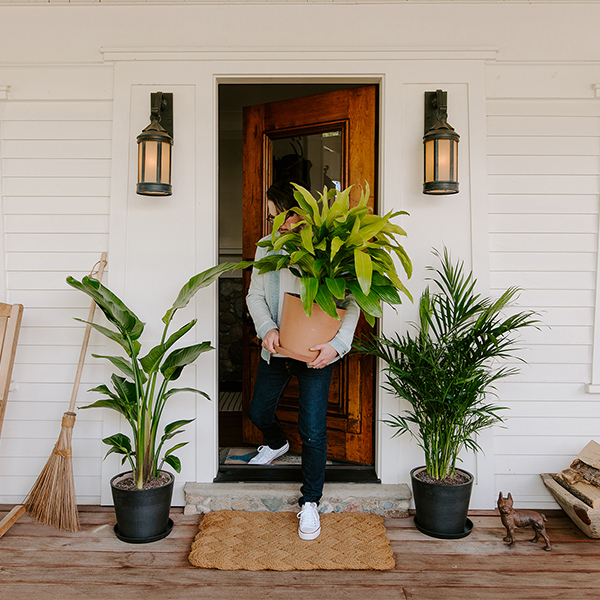 Bringing the indoors out