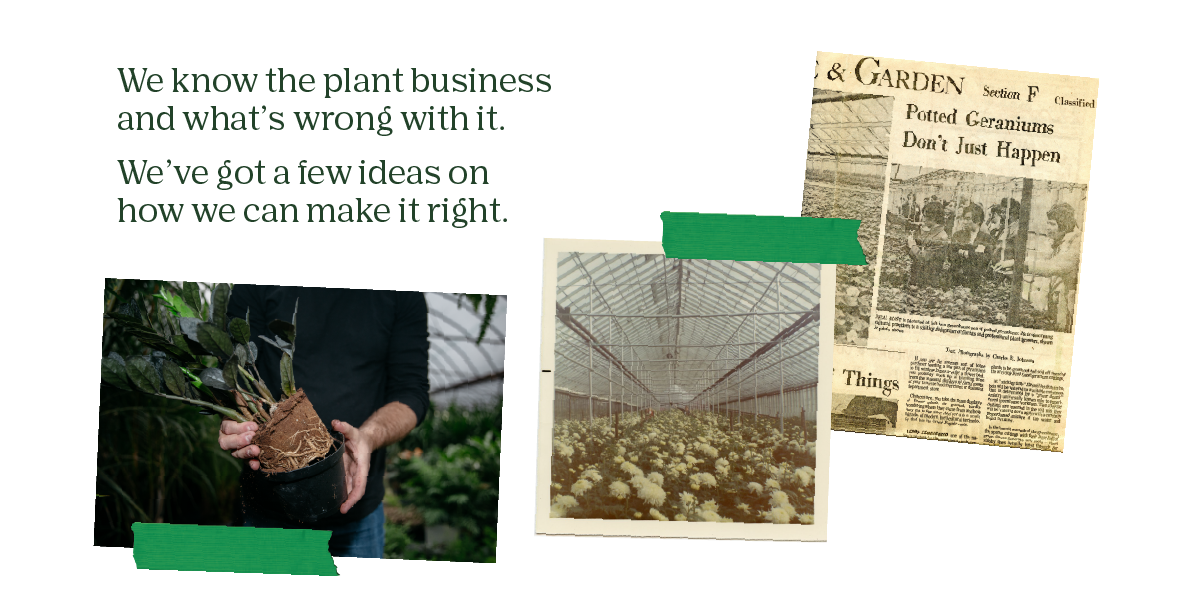 We know the plant business and what's wrong with it. / We've got a few ideas on how we can make it right.