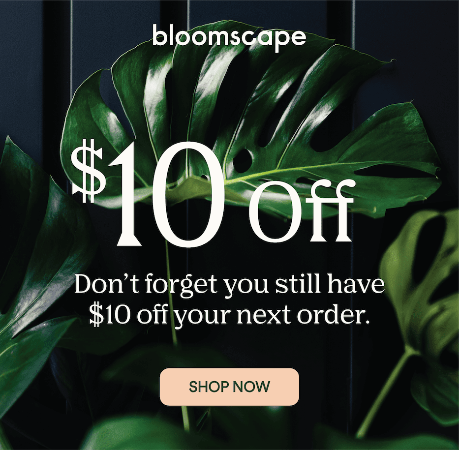 Life is better with plants - find your next foliage friend today with $10 off your next order.