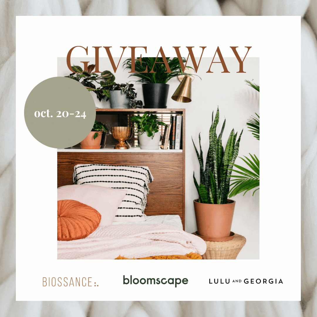 Giveaway