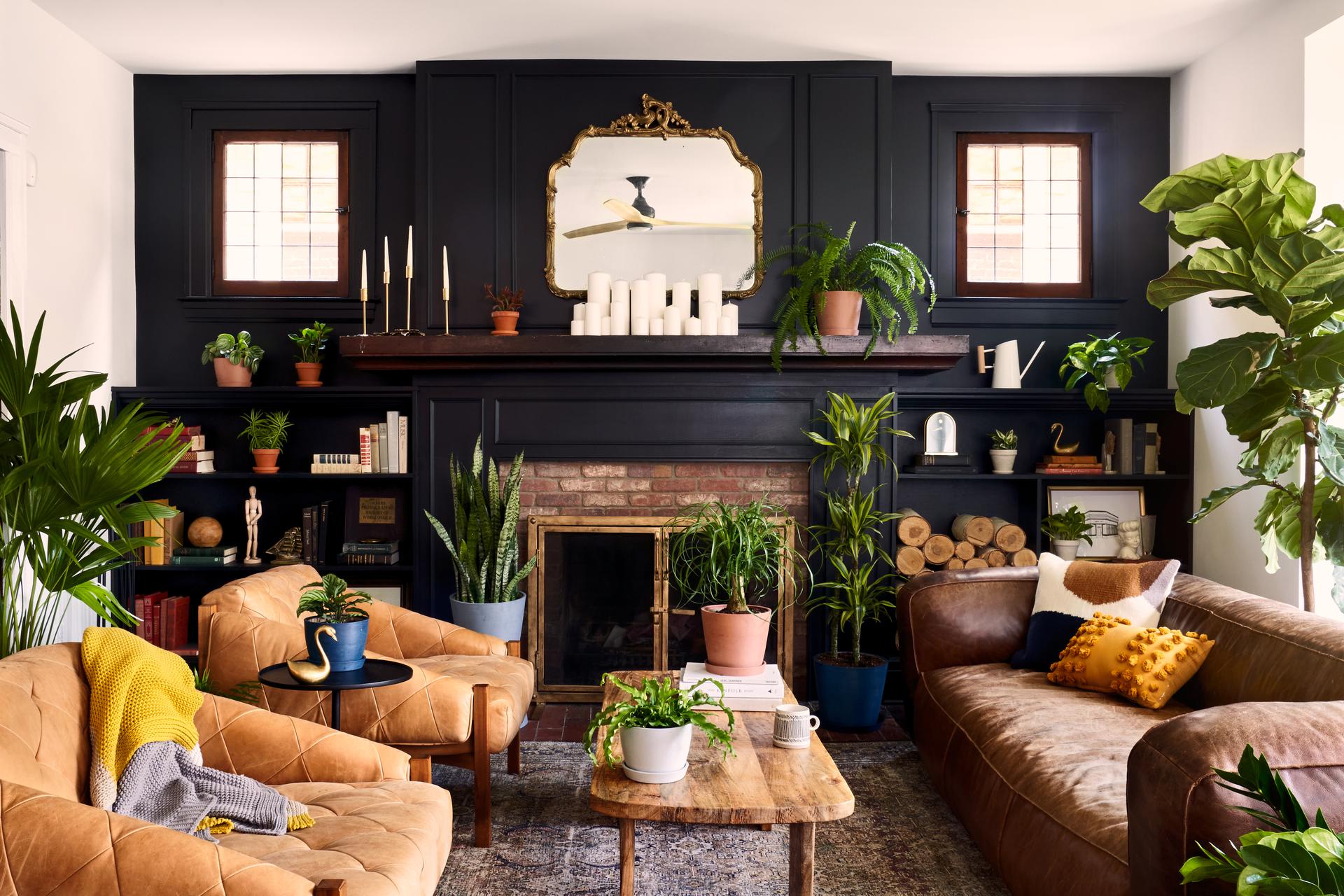 A living room filled with a variety of potted indoor plants.