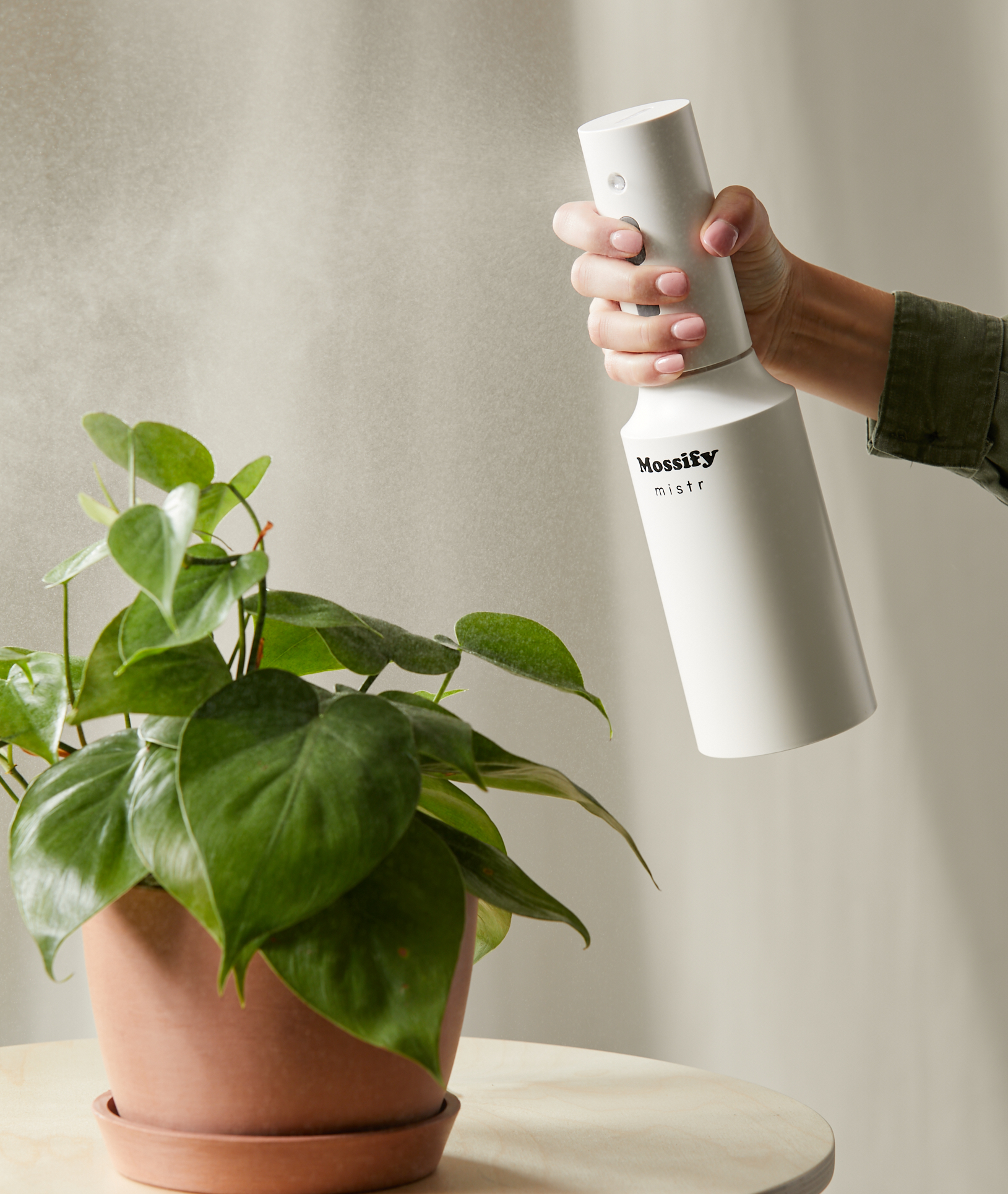 Mister spraying a philodendron heartleaf