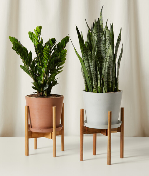 Adjustable Plant Stand