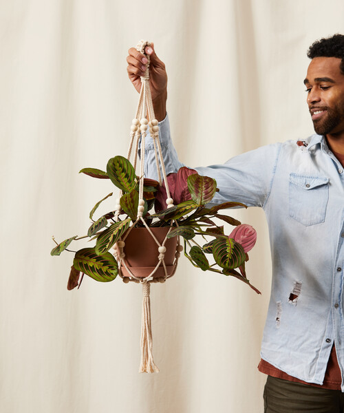 Beaded Macrame Hanger