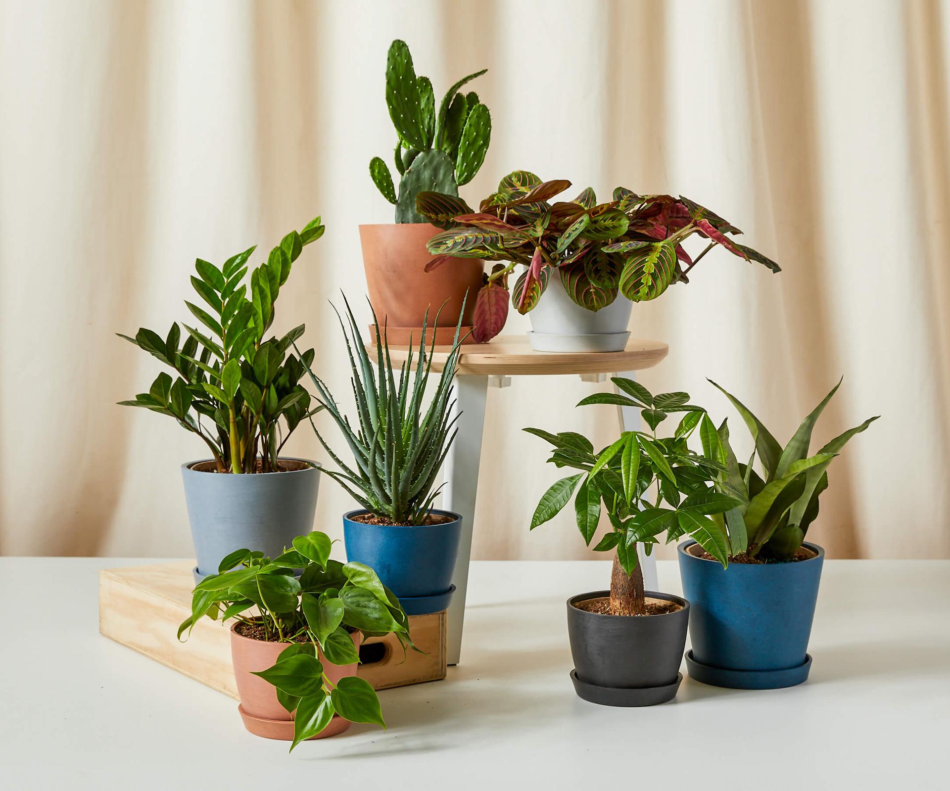 Gifts Under $75