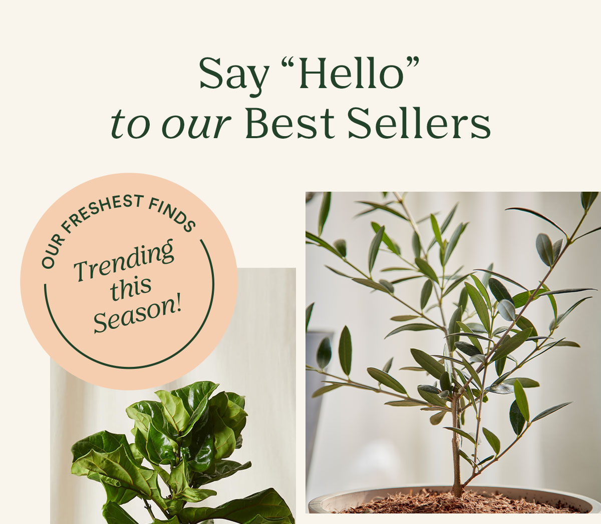 Meet our best sellers, shop now