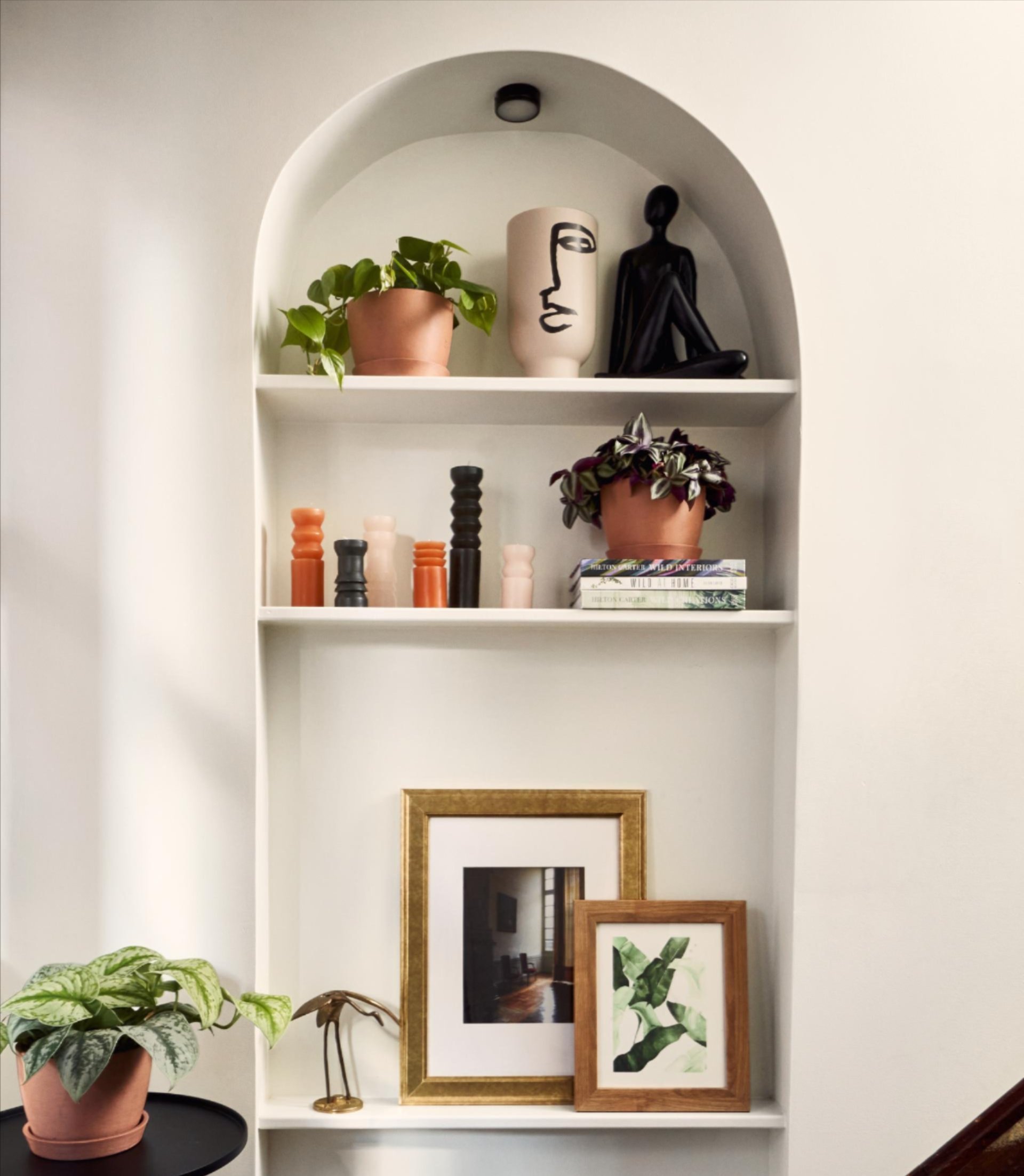Shelf with picture frames and several potted plants