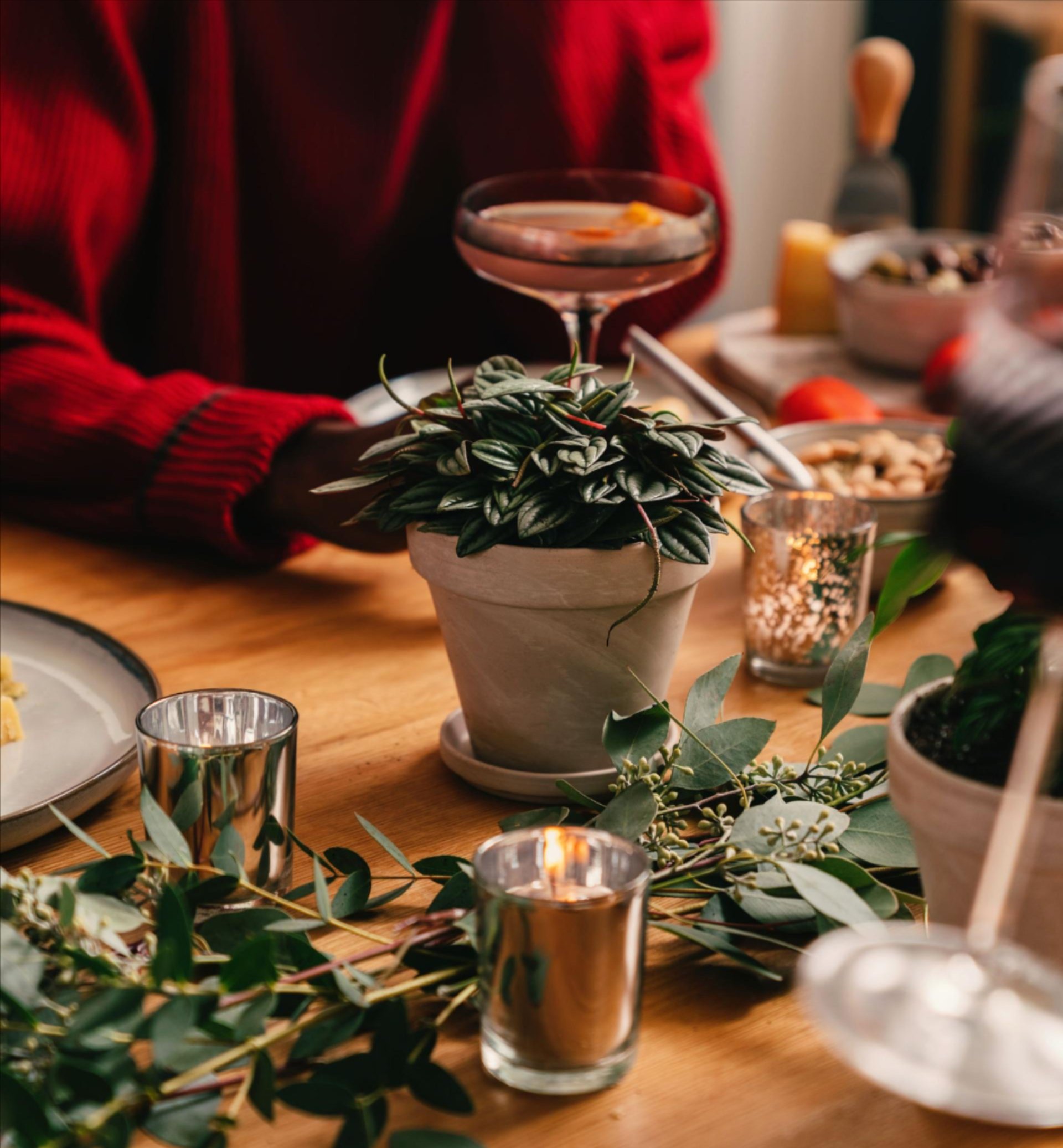 A holiday dinner table set with eucalyptus leaves and plants